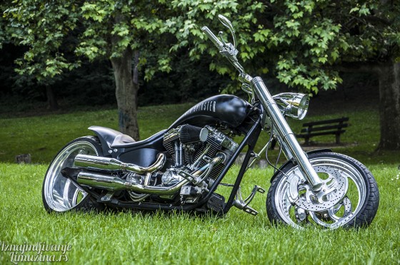 Harley Old Spinster (2)