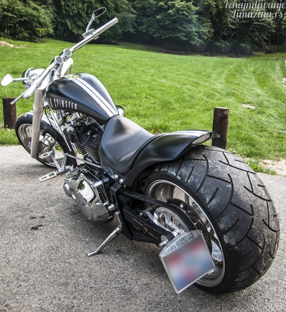 Harley Old Spinster (4)