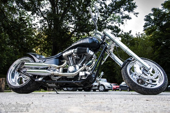 Harley Old Spinster (5)
