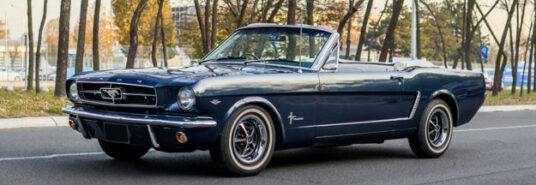 Ford Mustang 65